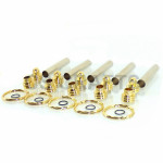 Keyring in Gold finish - 5 Pack